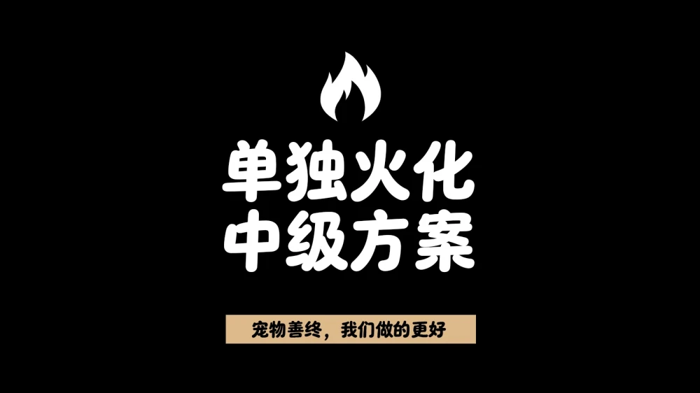离别善终方案（深度清洁+告别仪式+骨灰罐）